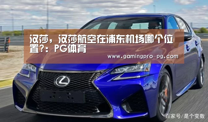 PG电竞直播