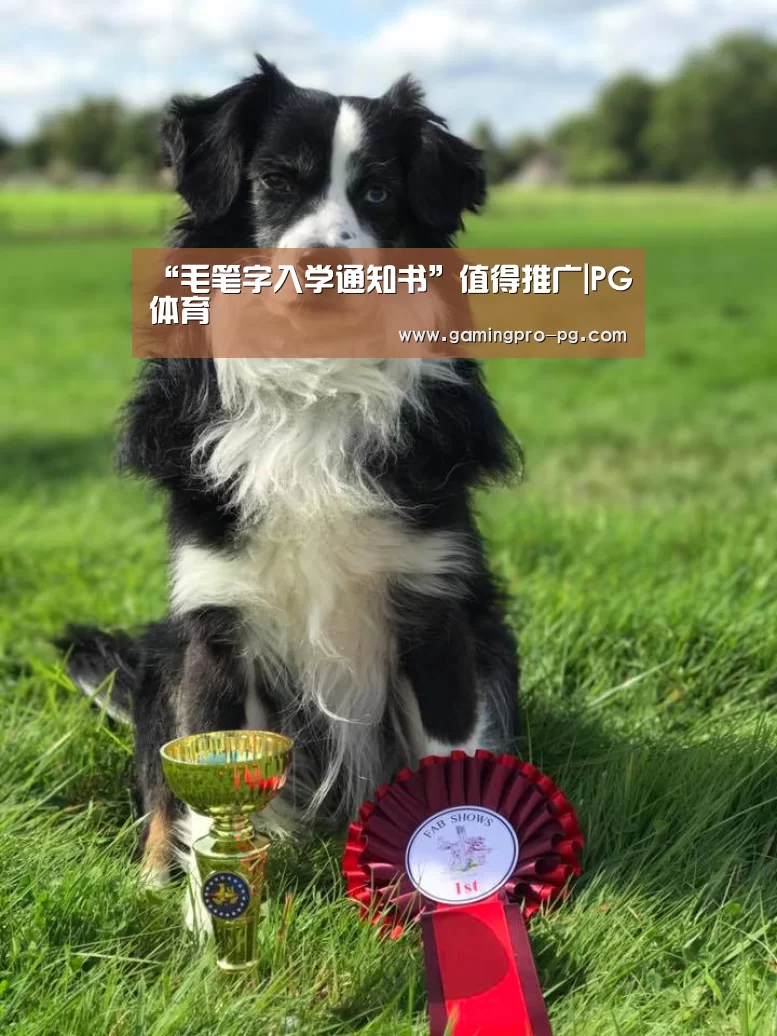 <h1>“毛笔字入学通知书”值得推广|PG体育(图1) PG官网